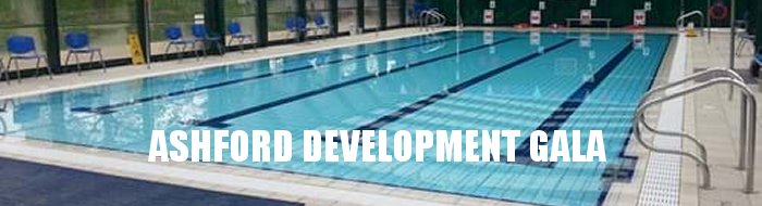 ASHFORD DEVELOPMENT GALA 